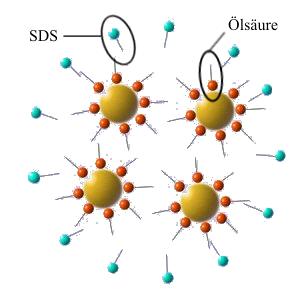 4 Ergebnisse und Diskussion 67 SDS als Tensid hergestellt. Nach der Entfernung von Octan durch Erwärmen der Miniemulsion erhält man die festen Magnetitpartikel dispergiert in Wasser.