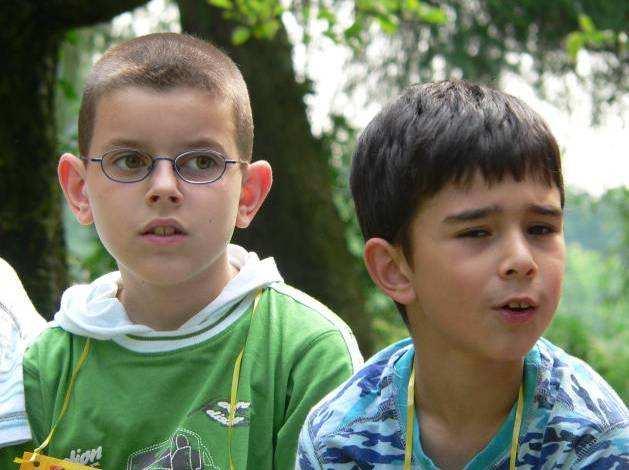 Alle gesammelten und von den Kindern für den Bauernhof als tauglich bewerteten Ideen wurden in zwei Kategorien eingeteilt.