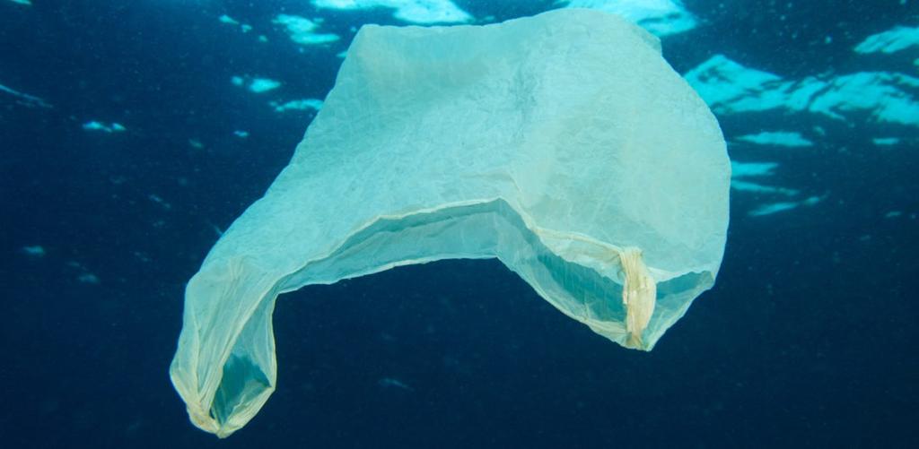 Europas schwerer Kampf gegen leichte Plastiktüten Keyfacts über Plastiktüten - 500 Milliarden Plastiktüten werden jährlich weltweit produziert - Plastiktüten verrotten über Jahrzehnte - Flora und