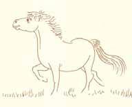 Wie hat sich die Pferdehaltung entwickelt?