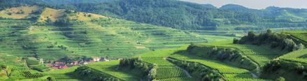 Wandern im Naturgarten Kaiserstuhl Auch im Naturgarten Kaiserstuhl kann man wunderbare und spannende Wanderungen unternehmen und dabei Natur und Region entdecken.