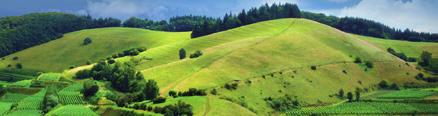 Um weiterhin den typischen Charakter der Artenvielfalt auf den Böschungen des Naturgartens Kaiserstuhl zu erhalten, wurde mit Hilfe von PLENUM ein Modellprojekt initiiert, um auf neu angelegten