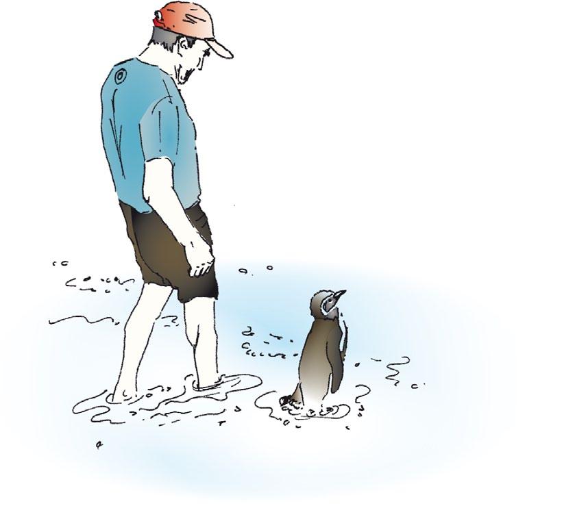 Arbeitsblatt 1 zum Tiere-und-Natur-Thema in TIERFREUND 1/2017 Pinguine leben nicht nur in Eis und Schnee Dindim ist ein Magellan-Pinguin.