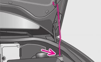 Abb. 140 Sicherung der Motorraumklappe mit der Klappenstütze Motorraumklappe öffnen Entriegeln Sie die Motorraumklappe Abb. 138.