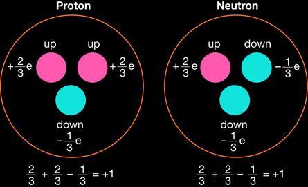 Die Hadronen bestehen aus Subteilchen den Quarks