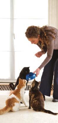 IAMS Multi-Cat Adult 1+ Empfehlung: Für Haushalte mit mehreren Katzen. Eine Katze zu besitzen ist immer etwas Besonderes. Wer zwei oder mehr Katzen hat, erfährt noch mehr Zuneigung und Freude.