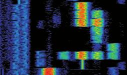 Schwache oder sporadische Störer und Interferenzen, die sich unter starken oder in der Frequenz wechselnden Nutzsignalen verbergen konnten, macht der IDA 2 jetzt direkt vor Ort sichtbar.