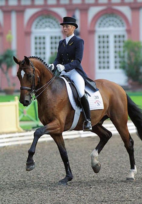 Der Schnitt des Sattelkissens in Verbindung mit den flachen Kniewülsten ermöglicht eine äußerst enge Anlehnung an das Pferd. Auf Wunsch auch mit erhöhten Kniewülsten erhältlich.