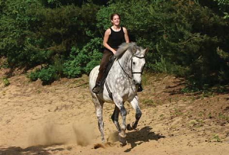 7. Der Barefoot nicht nur für das Pferd eine gesunde Lösung Nicht nur Pferde fühlen sich wohl unter dem leichten und flexiblen Barefoot: Auch unsere Kunden schätzen den Komfort und die Nähe zum Pferd.