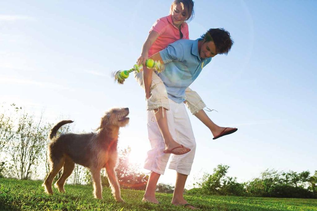 «Fit von Kopf bis Pfote» Nachweislich wirksam bei alternden Hunden Ihr Hund hat von Ihrer Tierärztin/Ihrem Tierarzt ein Präparat mit Propentofyllin verschrieben bekommen.