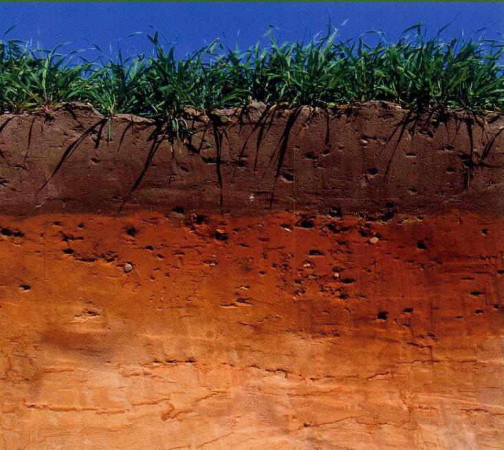 Beregnungssteuerung Bodenwasserhaushaltsmodell BOWAB Niederschlag Wasserbewegung zwischen den Bodenschichten wird erfasst Bilanzierung des