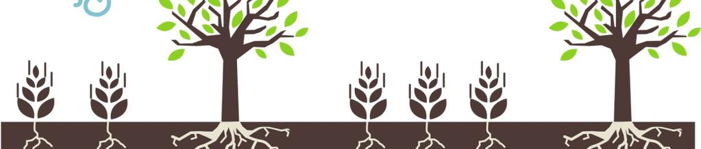 14 Agroforst-App Lebensraum Klimatische