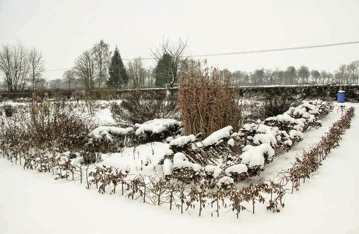 Auch im Winter lohnt sich ein Besuch des Bauerngartens auf Lühlerheim.