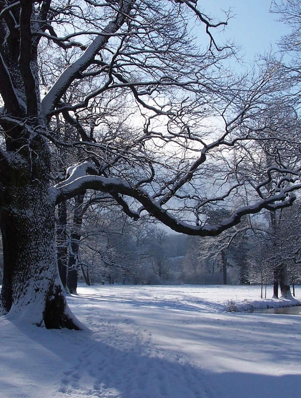 Fürst-Pückler-Parks Winterlandschaften Auch in der kalten Jahreszeit