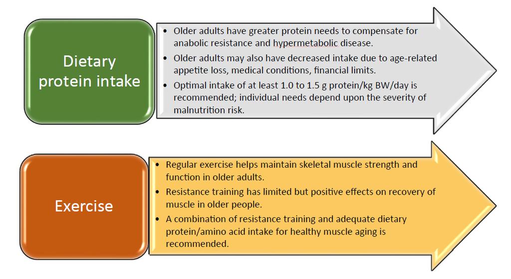 Recommendations for maintaining healthy muscle with aging Deutz NEP, et al.
