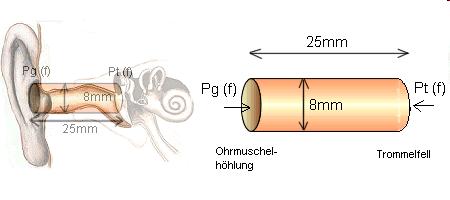 Das äußere Ohr Erste Resonanz: λ/4 = 0,025 m λ = 0,10 m f = c / λ f = 343 / 0,10 f = 3430 Hz Der äußere Gehörgang wirkt wie ein