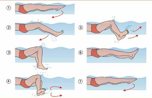 2-13a, Bild 3) den gestreckten Körper nach vorn und 2. drückt das Zusammenführen der Beine bis zum vollständigen Schließen (Abb.