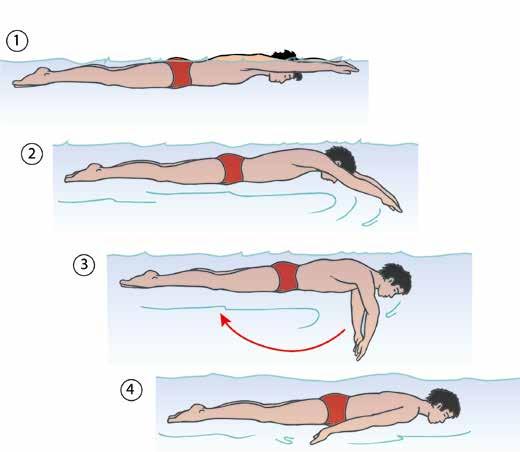 2.20 Grundwissen für den Rettungsschwimmer Vorsicht! Schwimmt der Tauchende plötzlich nach unten oder im Kreis, dann ist sein Orientierungssinn gestört.