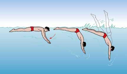 Grundwissen für den Rettungsschwimmer 2.21 Tauchübungen müssen frühzeitig durchgeführt und regelmäßig wiederholt werden. Dabei kann die Leistung nach und nach gesteigert werden.