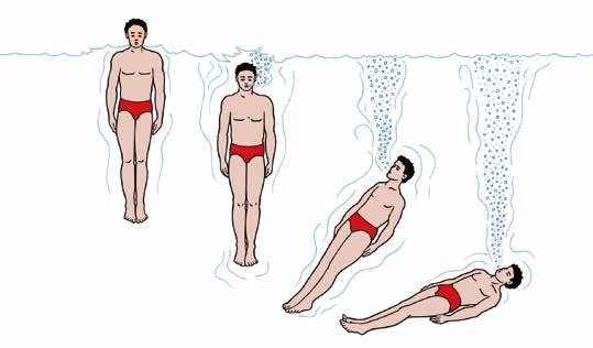 2.22 Grundwissen für den Rettungsschwimmer Zum Auftauchen wird der Kopf zurück gebeugt und die Arme werden schräg nach oben gehoben. Der Körper gleitet bzw. schwimmt an die Oberfläche.