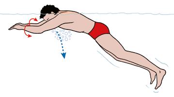 Auch gute Schwimmer können ertrinken! Denn häufig führen gesundheitliche Beeinträchtigungen oder Selbstüberschätzung zum Ertrinken. 2.5.