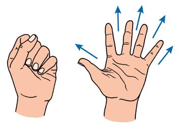 Grundwissen für den Rettungsschwimmer 2.31 Fingerkrampf: Die Finger werden abwechselnd zur Faust geschlossen und ruckartig gestreckt.