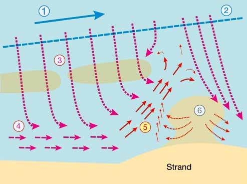 Grundsätzlich gilt: Abbildung 2-44: Strömungsformen der Brandungsküste Küstenströmung (1): Sie ist eine ufernahe, gleichmäßige Strömung, etwa