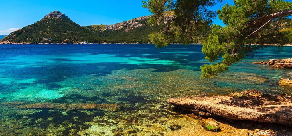 Mallorca Das Meer im Blick Pawel Kazmierczak/Shutterstock Magische Perspektiven warten auf Sie: Wandern entlang bezaubernder Küsten, in malerischen Buchten und durch Terrassengärten am Meer Die Magie