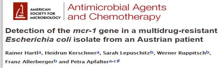 aeruginosa Acinetobacter baumannii Komplex allen 3- und 4-MRGN sowie