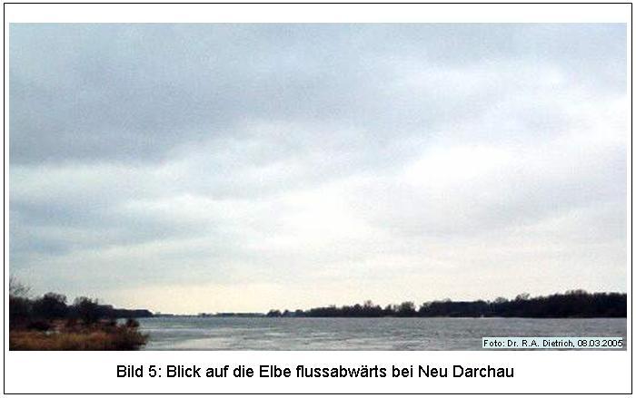 - 2 - die Elbe bei Barförde und Wendewisch mit Blickrichtung vom Deich zur Elbe.