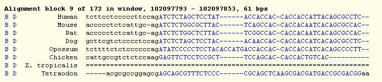 Genome Alignments