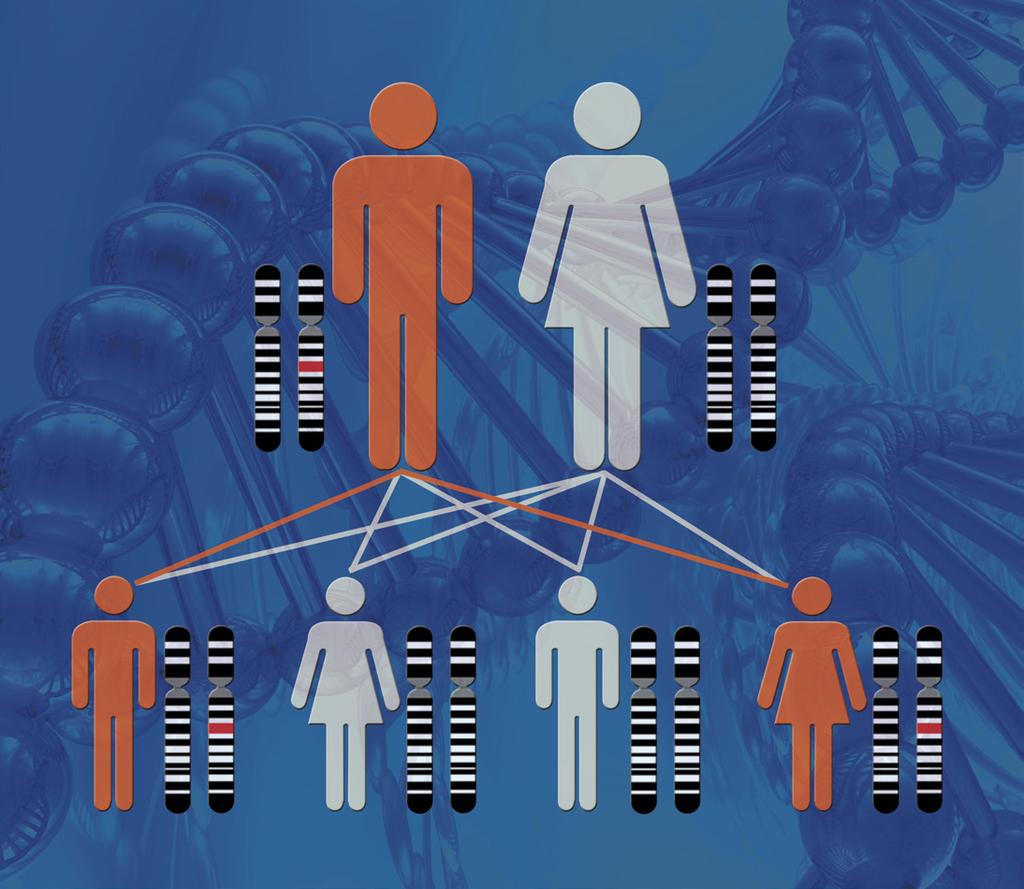 Netzwerk Hypophysen- und Nebennierenerkrankungen e.v. www.glandula-online.de MEN 1 eine komplexe genetische Erkrankung Sonderdruck zur MEN-Veranstaltung im Rahmen des 19.