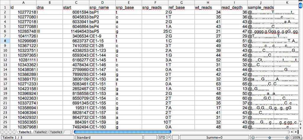 University an Oliver Hoberts Labor geschickt. Als Ergebnis bekam ich unter anderem eine Excel-Tabelle zugeschickt, die die Daten für alle bekannten SNPs beinhaltete (Abbildung 50).
