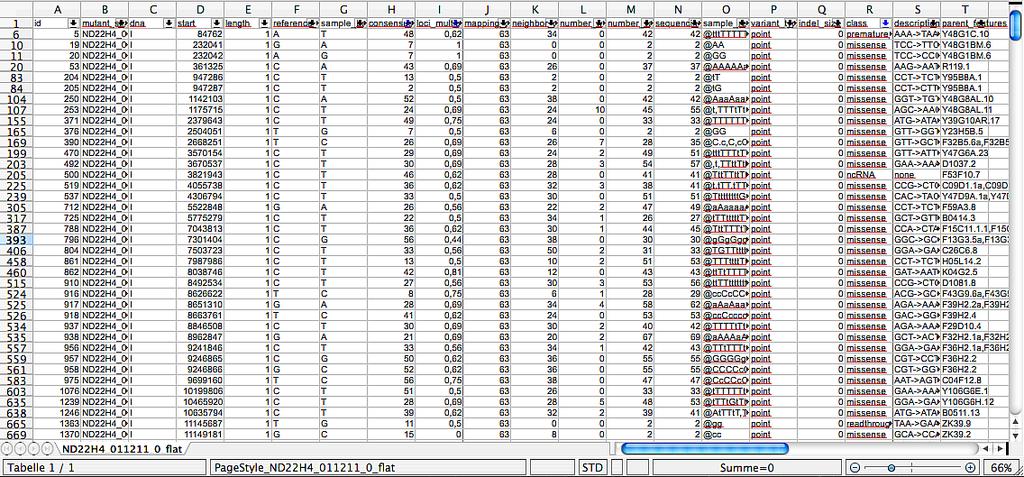 Abbildung 51: Ausschnitt aus der Excel-Tabelle aller Protein-codierende und ncrna- Mutationen für t3206.