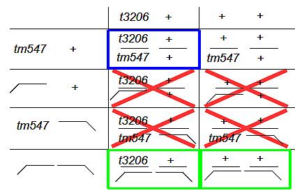 Abbildung 54: Punnett-Quadrat zur Komplementation von tm547 mit t3206. Das Quadrat zeigt, dass max. 50% der Nachkommen lebensfähig sind (Rotes Kreuz = letale Chromosomen-Kombination).