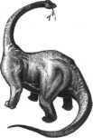 STEGOSAURUS Dieser Stachel-Dinosaurier war der größte und berühmteste Saurier seiner Art.