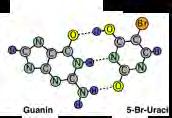 Pharmazeutische Biologie Genetik N230-Raum 306