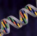 5. Genetik für Pharmazeuten Wirksamkeit und Verträglichkeit von Arzneimittel haben ebenfalls ein genetisches