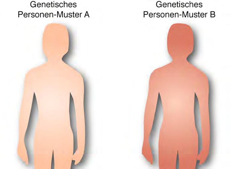 5. Genetik