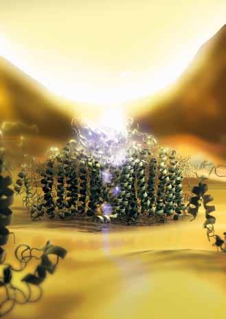 Nanotechnologie Eine molekulare Nanosolarzelle Forscher der Technischen Universität München und der Tel Aviv University haben eine Methode entwickelt, um den Photostrom eines einzelnen Moleküls zu