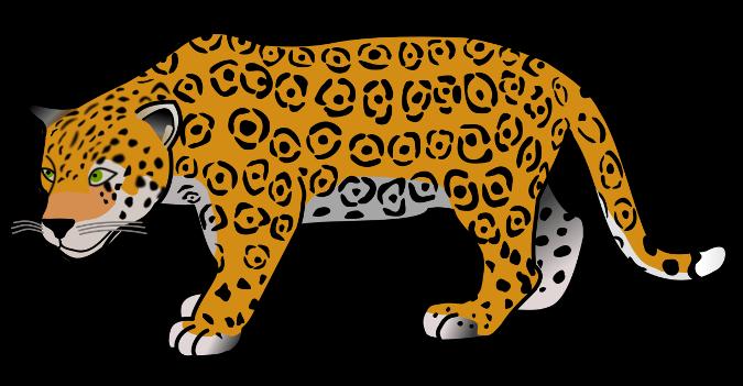 SCHOOL-SCOUT Lernwerkstatt: Raubkatzen Seite 27 von 62 Lernplakat- Jaguar Erstelle ein Lernplakat mit allen wichtigen Informationen über den Jaguar und präsentiere es mit deinem Partner in einem