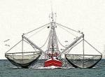 Friedrichskoog und Umgebung: malerischer Kutterhafen mit der größten Fangflotte an der Westküste