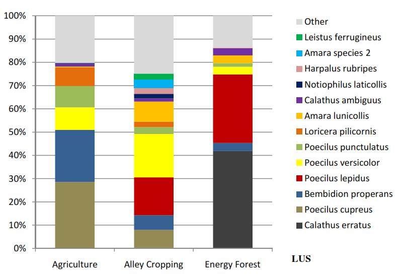 Agroforst und Artenvielfalt Laufkäfer Aktivitätsdichte von Laufkäferarten in einem 4-jährigen Agroforstsystem, in einer 4-jährigen KUP und auf einer zur gleichen