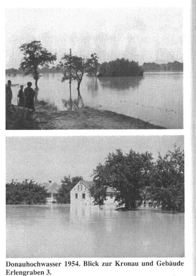 Hochwasserereignisse: 1876 Hochwasser in Enghagen, Menschen werden mit Nahrungsmitteln versorgt 1903 Die Enns tritt über die Ufer 1920 Hochwasser in Kronau und Enghagen 1937 Der Bleicherbach (im