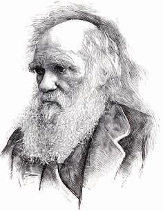 Der Begriff lebendes Fossil wurde von Charles Darwin geprägt.