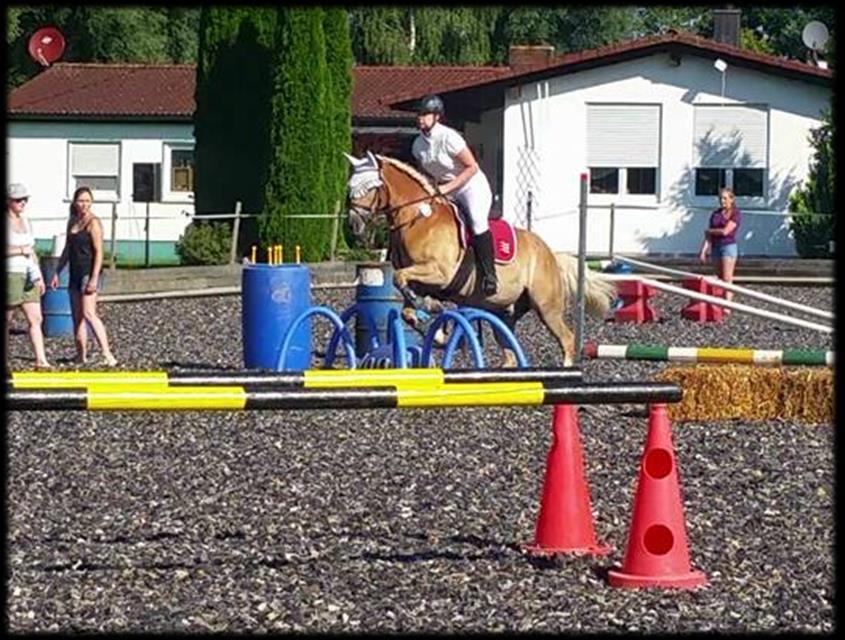 August 2016 Reitertag Tiefenbach Aktionsparcours, Janina