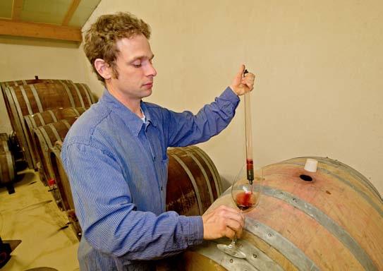 00 bis 17.00 Uhr. Sie erleben dabei den kompletten Prozess von der Weinlese bis zur Pressung im Weinkeller. Zur Stärkung gibt es ein Winzervesper im Weinberg.