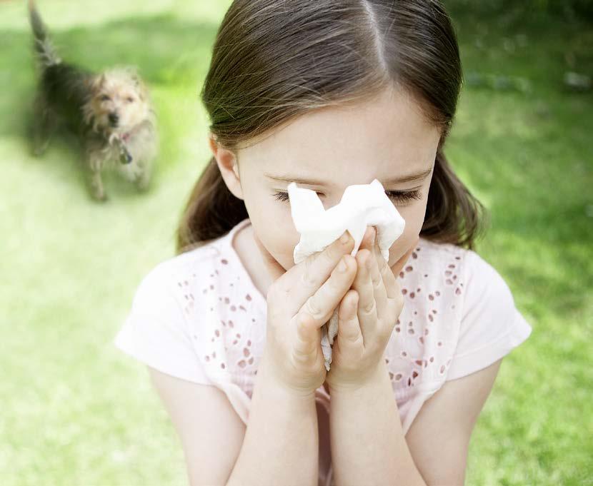 Einfach mit System Für exakte Diagnosen bei Allergien Mit