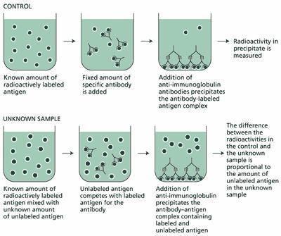 Immunologischer