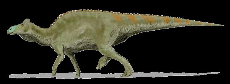 versunken sind. 7 Zahn im Rücken eines anderen Dinosauriers 2007 wurden Knochen von einem Edmontosaurus gefunden.
